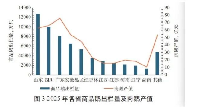 鹅腿争议背后:肉鸭收购价不超过4元/斤,肉鹅收购价超7元/斤!龙头企业2025年养鹅业务陷入低谷
